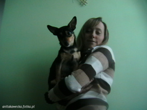 dog, cat