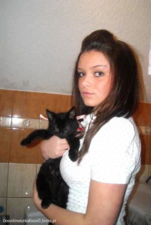 dog, cat, pet