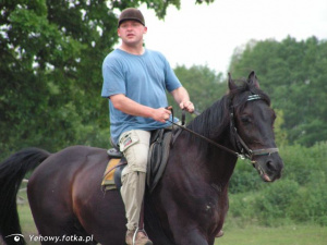 hair, horse, bridle, rein, sports, helmet