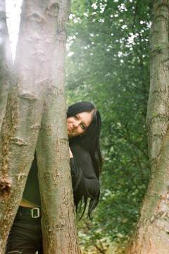 forest, trunk