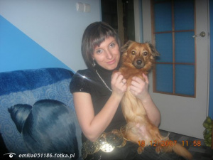 dog