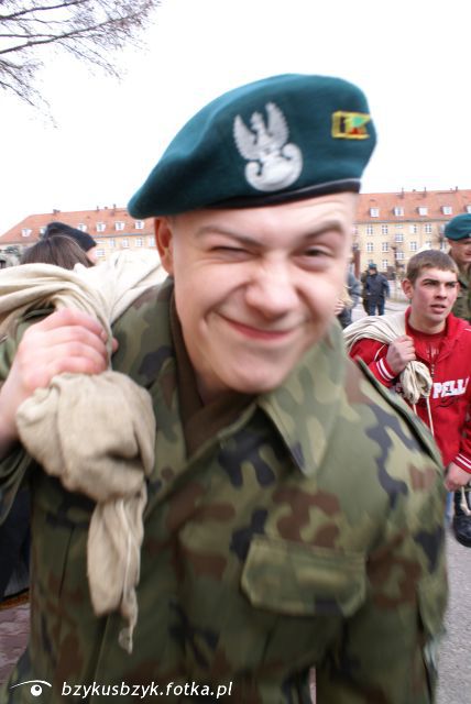pattern, army