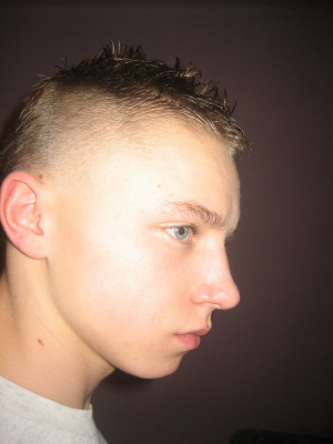 skin, ear