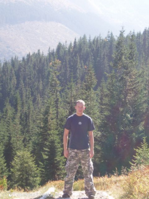 forest, mountain