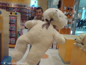 textile, toy, stuffed-toy