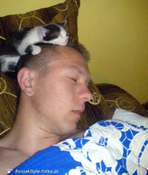 dog, cat