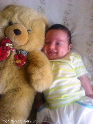 textile, toy, stuffed-toy, plush