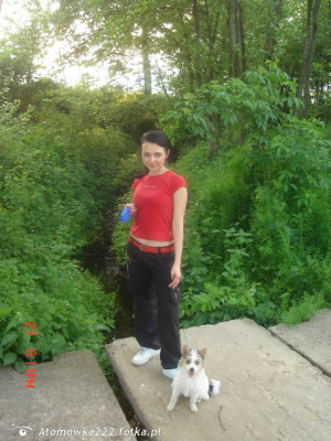 dog, pet