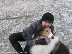 dog, pet