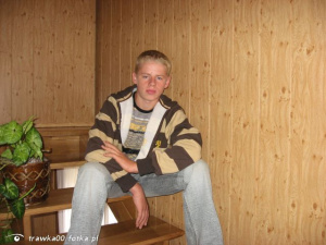 sitting, chair