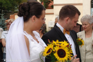 dress, event, petal, plant, flower, bride, marriage