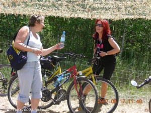 leisure, vehicle, sports, bicycle, cycling