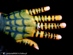 hand