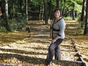 jeans, forest