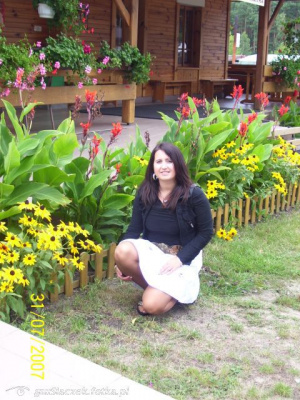 sitting, leisure, petal, flower, garden