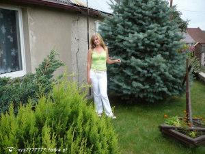jeans, garden