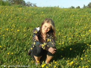 field, food, petal, plant, flower, vegetable
