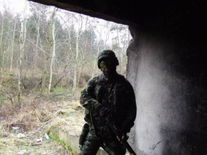 pattern, army