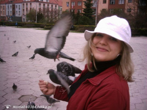 cool, hat, bird