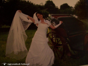 dress, gown, bride