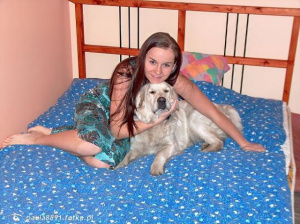 dog, pet