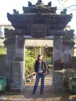 jeans, denim, leisure, standing