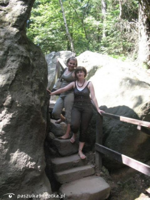 rock, jungle