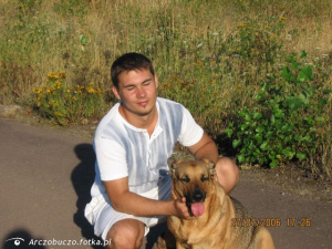 dog, pet