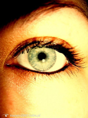 eyelash, skin