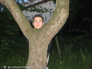 trunk