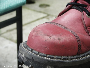 shoe