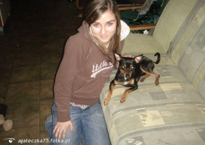 jeans, dog, pet
