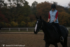 hair, horse, bridle, rein, sports