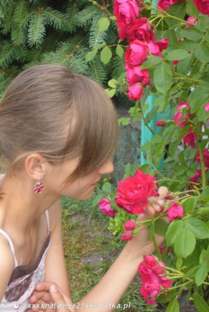 skin, petal, plant, flower