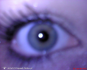eyelash