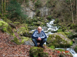 forest, rock, mountain, jungle