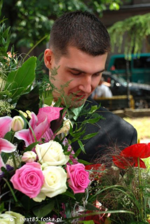 petal, plant, flower