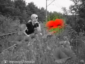 petal