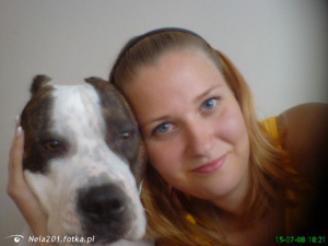skin, dog, pet