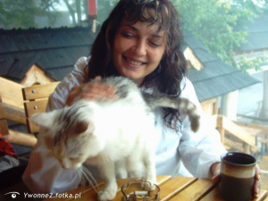 dog, cat, tableware