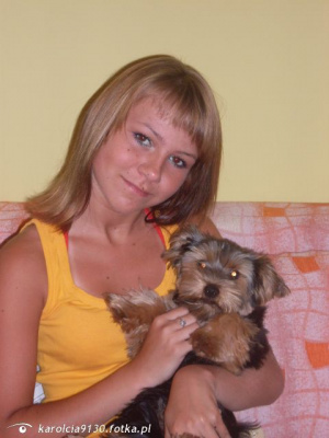 dog, pet