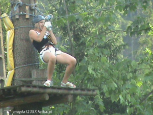 leisure, jungle