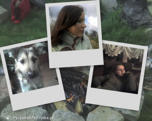 room, dog