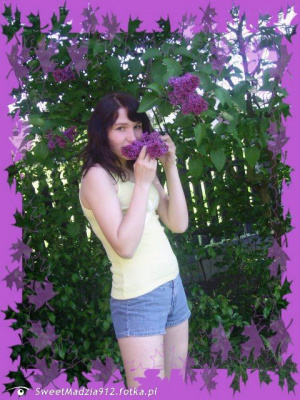 jeans, shorts, petal, flower