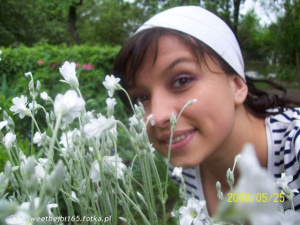 smile, petal, flower