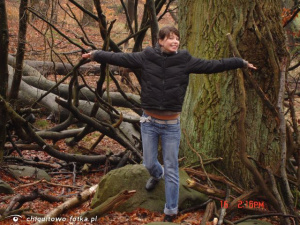 jeans, forest, branch