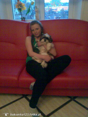 sitting, couch