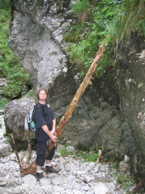 rock