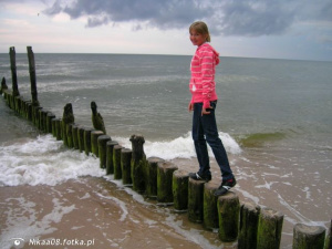 fun, vacation, beach