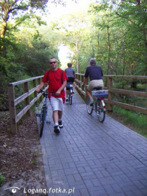 leisure, vehicle, sports, bicycle, cycling